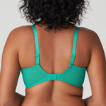 Back view of Lenca Balcony Bra Sunny Teal from The Foundation, featuring adjustable straps and supportive fit in vibrant teal colour