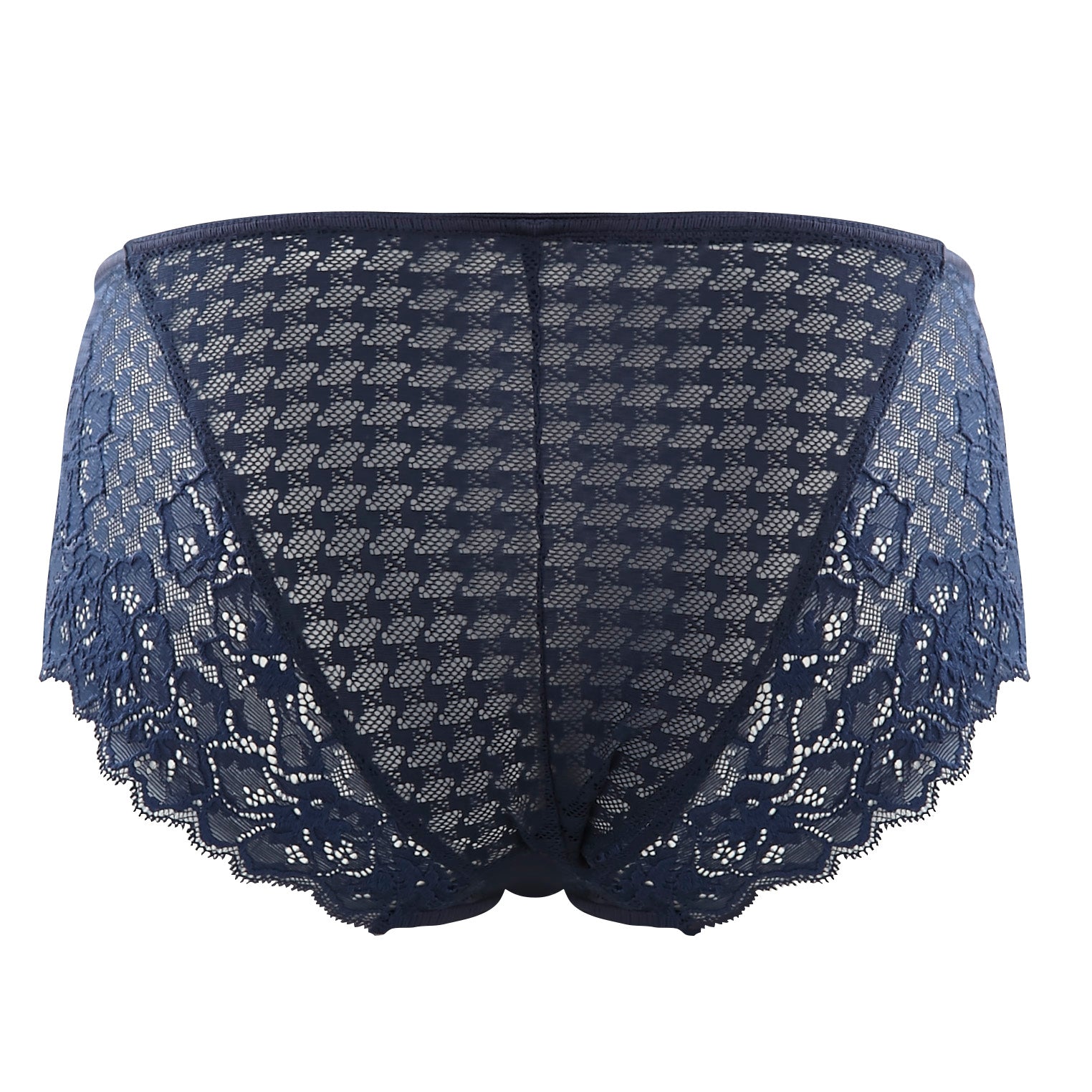 Flat lay back view of Panache Envy Brief in navy – soft lace detail – The Foundation