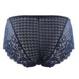 Flat lay back view of Panache Envy Brief in navy – soft lace detail – The Foundation