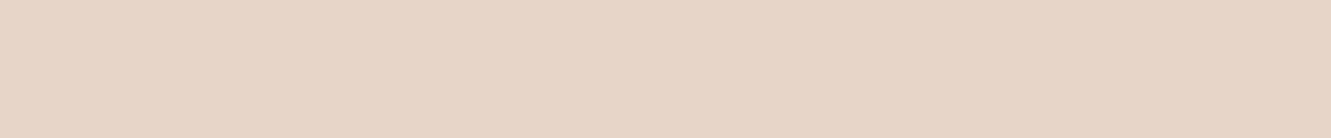 Hosiery - The Foundation Lingerie