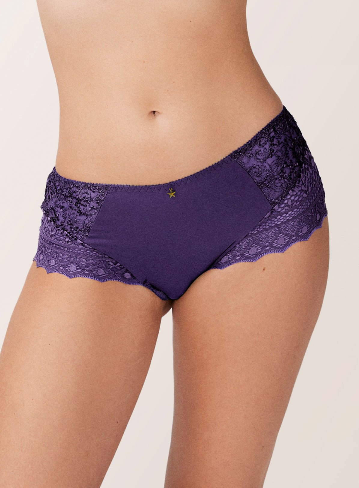 Front view of Cassiopee Culotte Panty Brief in Dark Purple by Empreinte, showing luxe lace and mid-rise fit.