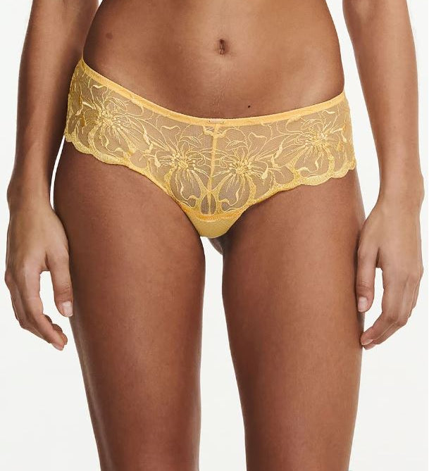 Front view of Fleurs Revealing Shorty Brief Tender Yellow from The Foundation, featuring lush floral embroidery and soft transparent lace