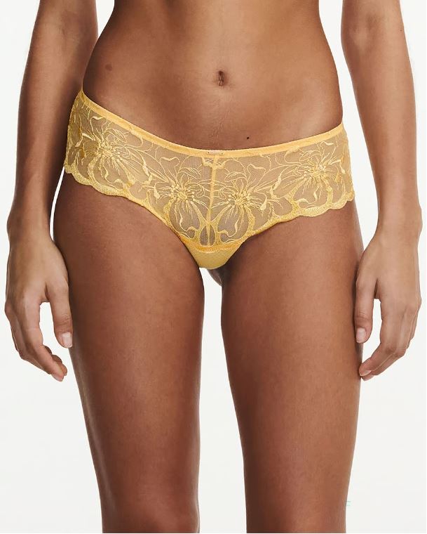 Front view of Fleurs Revealing Shorty Brief Tender Yellow from The Foundation, featuring lush floral embroidery and soft transparent lace