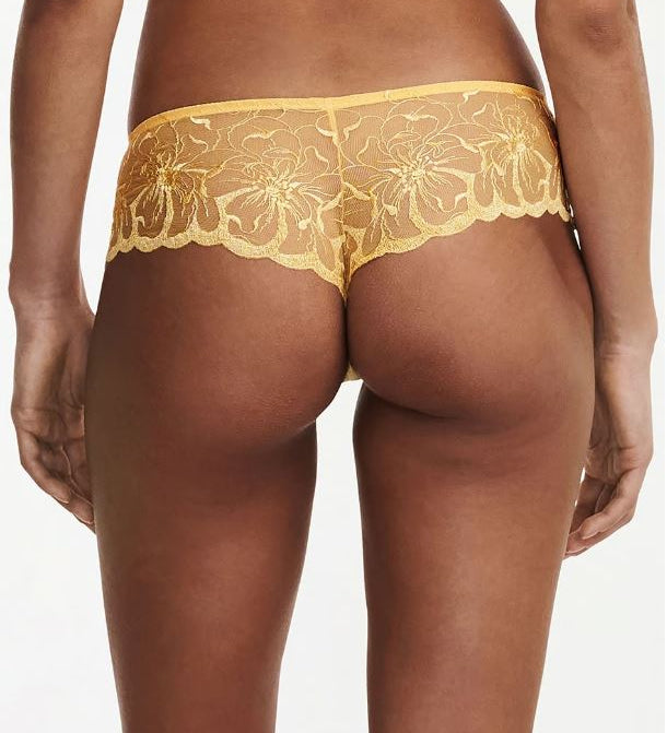 Back view of Fleurs Revealing Shorty Brief Tender Yellow from The Foundation, showing cheeky silhouette and detailed embroidery