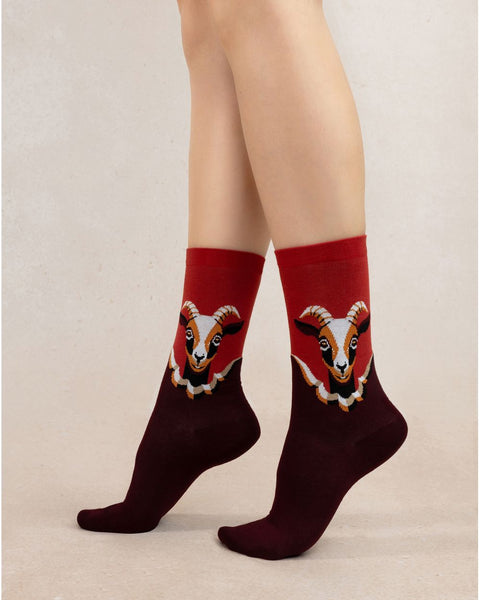 Cotton Goats Patterned Socks Bordeax