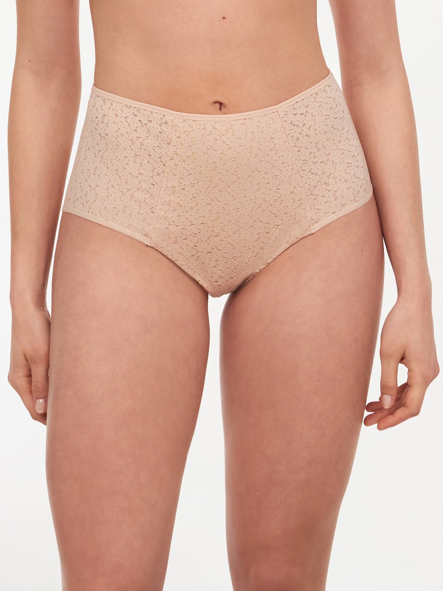 Front view of model wearing Norah High Waist Brief by Chantelle in Golden Beige, featuring full coverage and sheer tulle sides, from The Foundation.