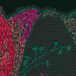 Marie Jo Yoly Heart Shaped T-Shirt Bra in Jewel Green with fuchsia lace, lightly padded with embroidered cups and bold contrast trims.