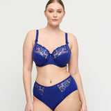 Deauville Full Briefs Iconic Blue
