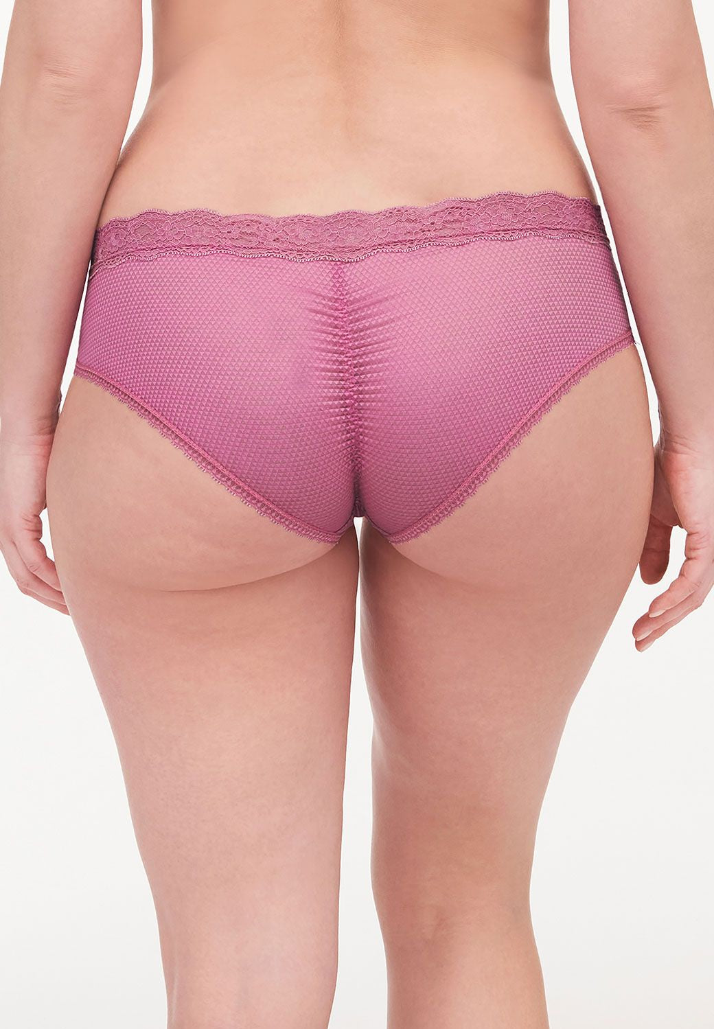 Back view of the Brooklyn Shorty Brief Gardenia from The Foundation – sheer mesh finish and scalloped lace detailing.