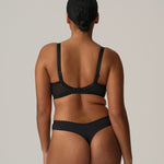 Prima Donna San Angel Thong Brief Peacock Feather, back G-string view, highlighting minimalist fit and designer lace, from The Foundation.