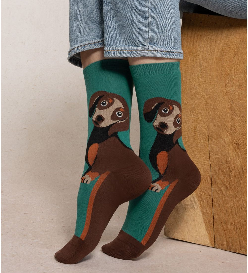 Bleuforet womens socks with Dachshund dog pattern for dog lovers on green