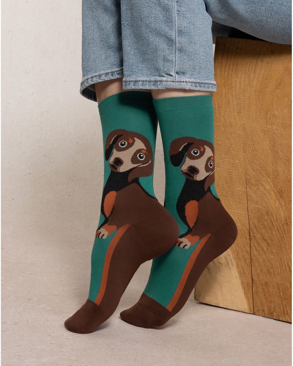 Bleuforet womens socks with Dachshund dog pattern for dog lovers on green