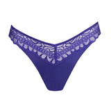 Cerina Thong Brief Velvet Eclipse