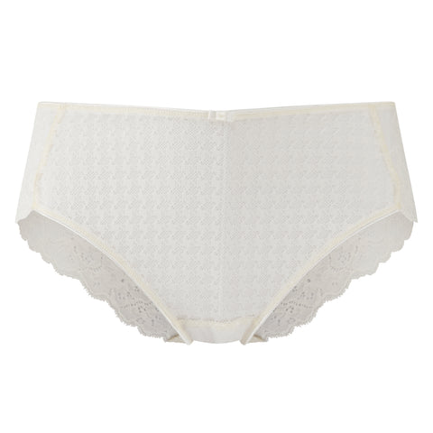 Envy Stretch Lace Brief Ivory