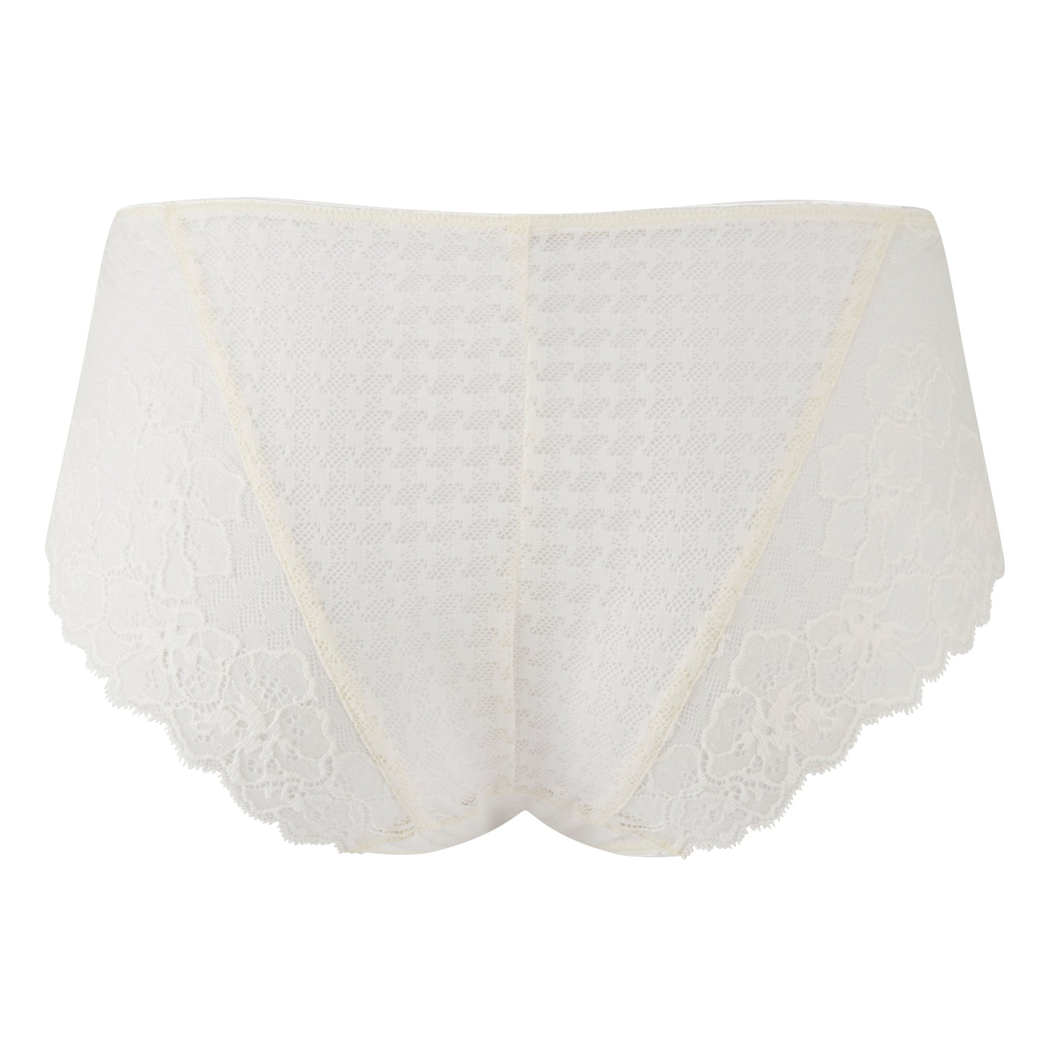 Rear view of Envy Brief with soft stretch lace – The Foundation