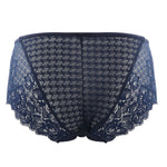 Flat lay back view of Panache Envy Brief in navy – soft lace detail – The Foundation