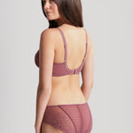back angle of Envy Stretch Lace Brief with lace detailing and flattering coverage.